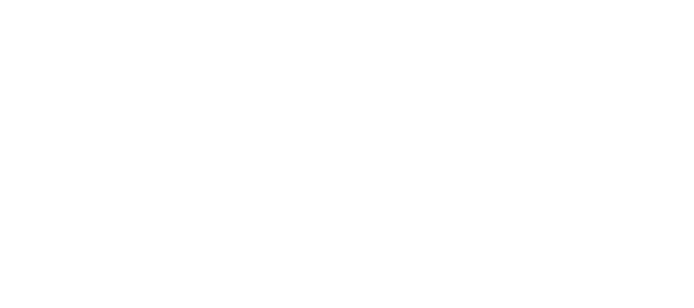 100% ÉQUITABLE BIOLOGIQUE ARABICA ORIGINE : PÉROU