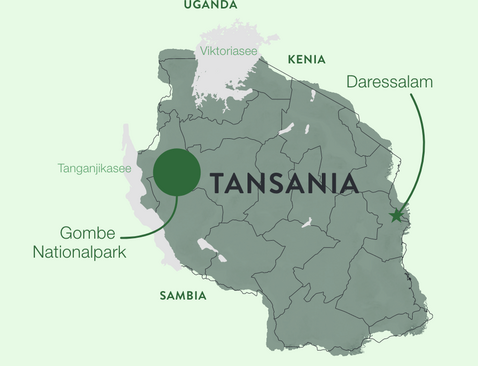 Graphic of Tanzania map