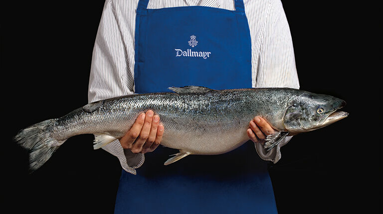 Salmon specialities