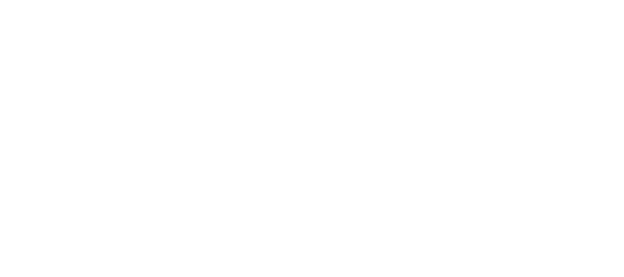 100% FAIR BIO/ORGANIC ARABICA PÄRITOLU: PERUU
