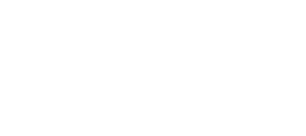 100 % ÉQUITABLE BIO/ORGANIQUE ARABICA ORIGINE : PÉROU