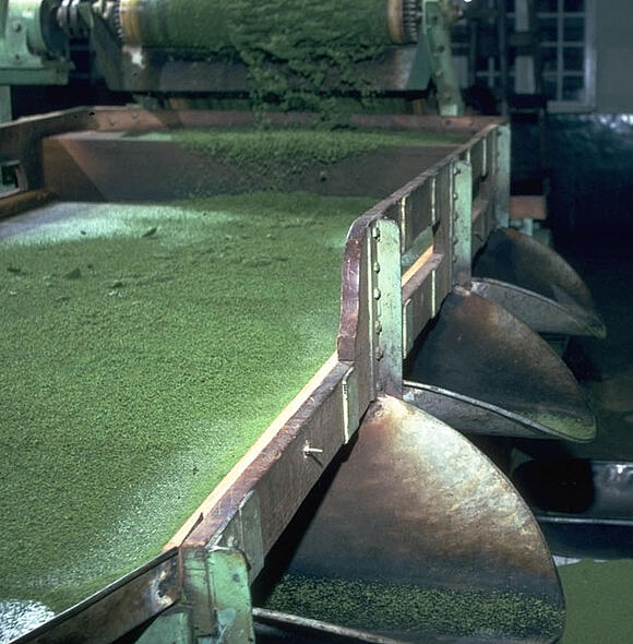 Tee wird in einer Maschine nach Blattgraden sortiert