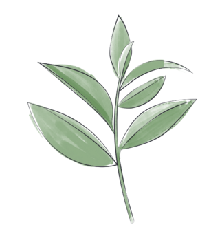 Illustration frische Teepflanze
