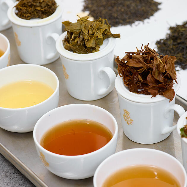 Auszug einer Teeprobe von offenen Teesorten