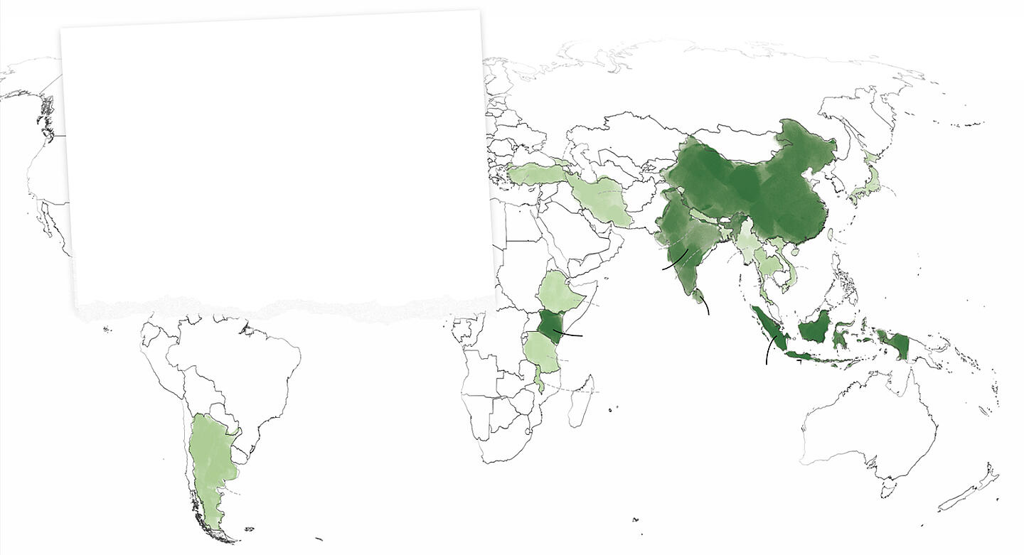 Obrázok mapy sveta s oblasťami pestovania čaju