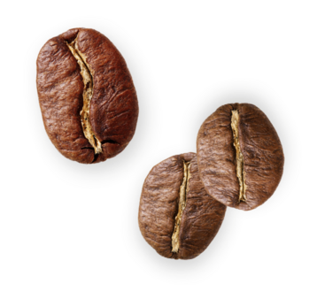 Arabica and robusta coffee beans