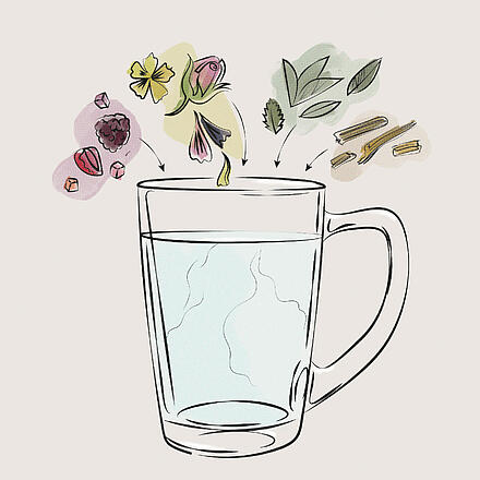 Obrázok s čajovým pohárom a vodou a rôznymi čajovými bylinkami