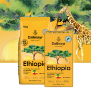 Dallmayr Ethiopia devant des plantations de café