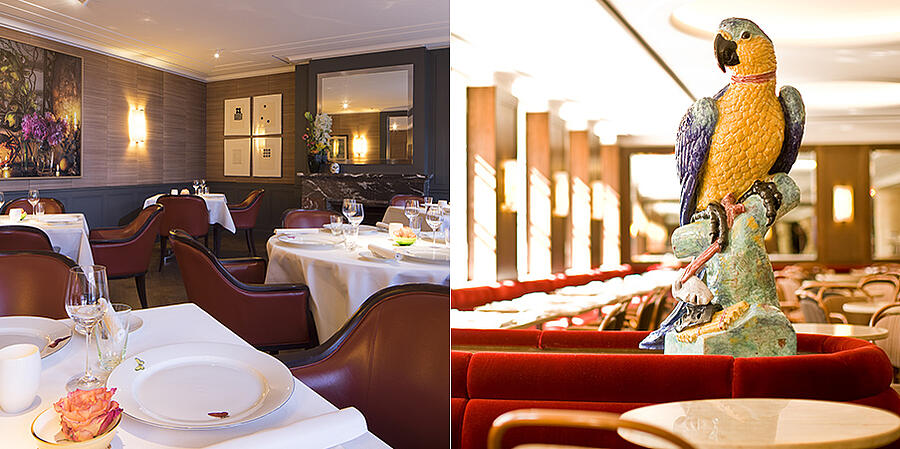 Einblick in das Dallmayr Fine Dining Restaurant Alois + Einblick ins Dallmayr Café-Bistro mit blau-gelbem Porzellan Papagei
