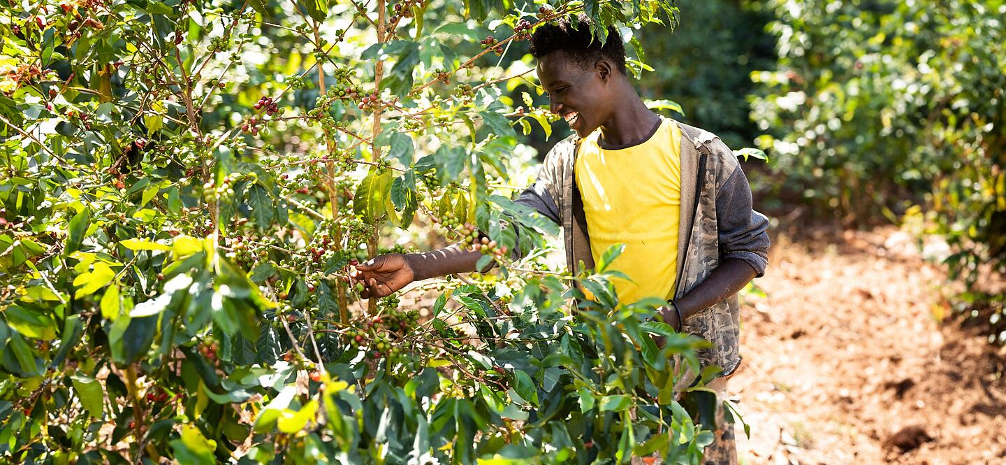 Mitarbeiter lächelt bei der Kaffee Ernte in Äthiopien